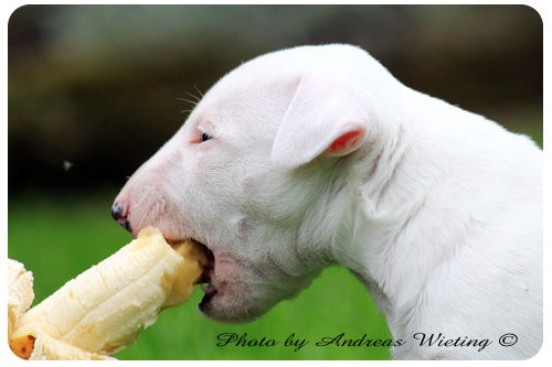 Amira mit Banane